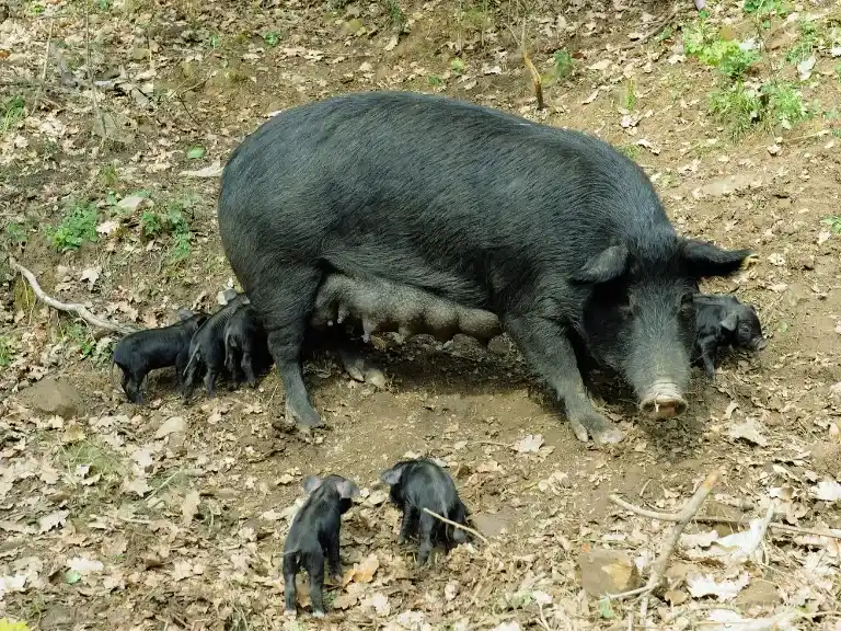 Parchi Naturali in Sicilia